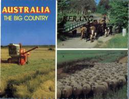 (268) Australia - New South Wales - Australia The Big Country - Otros & Sin Clasificación