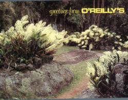 (629) Australia - Queensland - O'Reilly's - Otros & Sin Clasificación