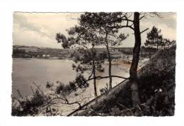 Saint Michel En Greves: Vue De La Plage (12-3506) - Saint-Michel-en-Grève