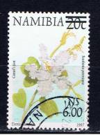 NAM+ Namibia 2000 Mi 1012 Blüte - Namibie (1990- ...)