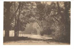 730 - Château De SERRES, PrèsVarzy - Allée Du Parc (effet De Contre Jout) - Sonstige & Ohne Zuordnung