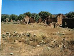 (299) Australia - South Australia - Kanyaka Homestead - Autres & Non Classés