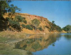 (299) Australia - South Australia - Murray River - Altri & Non Classificati