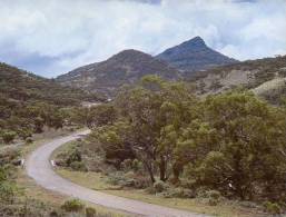 (299) Australia - South Australia - Devil's Peak, Pichi Richi - Autres & Non Classés