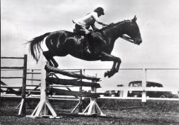 J50 /   CPSM 1960 CHEVAL / SPORT  / LE JUMPING - Reitsport