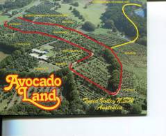 (502) Australian Folder Postcard - Livret De Carte D´Australie - Avocado Land - Sonstige & Ohne Zuordnung