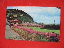 MINEHEAD PROMENADE - Minehead