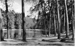 Ansichtskarten " Danoper Teich, Teutob Wald " - Detmold