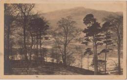 Wordsworths Fir Grove, Grasmere & Silverhow, Actual Photograph By G.P.Abraham, Cumberland  Vintage Postcard As Scan - Grasmere