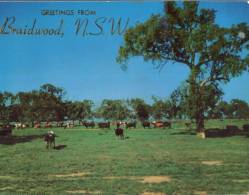 (666) Australia - New South Wales - Braidwood - Sonstige & Ohne Zuordnung