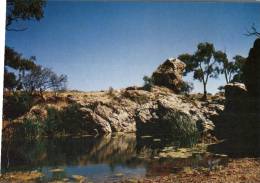 (315) Australia - South Australia - Kanyaka Ruins - Other & Unclassified