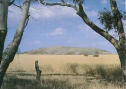 (315) Australia - South Australia - Mt Wudinna Rock - Adelaide