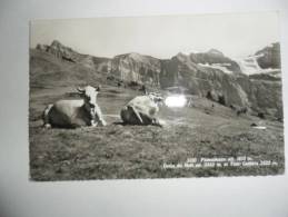 Val D'illiez; Planachaux, Dents Du Midi Et Tour Lallière - Val-d'Illiez 