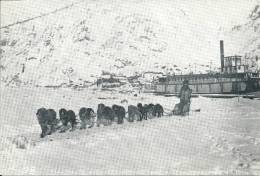 MALAMUTE BIL RETURNING FROM A STAMPEDE MARCH 1.1900 ( Voir Verso ) - Yukon