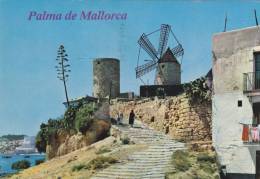 Cp , ESPAGNE , PALMA De MALLORCA , Molinos De El Jonquet - Palma De Mallorca