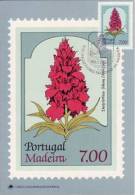 590 - Madere 1981 Carte Maximum - Madeira