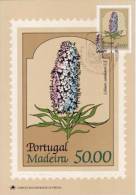 593 - Madere 1981 Carte Maximum - Madeira