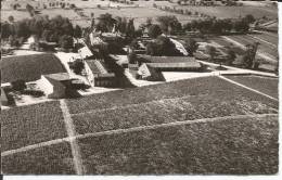 Cpsm, Pauillac (Médoc, Gironde), Château Lafite - Pauillac