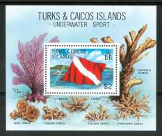 1981 Turks E Caicos Bandiere Flags Drapeaux Coralli Corals Coraux Block MNH** Po120 - Tauchen