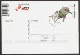Portugal Carte Entier Postal 315 Pigeon Biset Oiseau Cachet Premier Jour 2003 Portugal Rock Pigeon Bird Stationary Pmk - Duiven En Duifachtigen