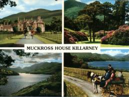 (010) Ireland - Killarney - Kilkenny