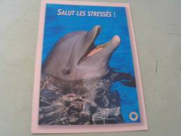 EL- SALUT LES STRESSES.. - Dauphins