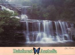 (345) Queensland - Rainforest Australia - Autres & Non Classés