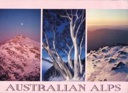 (345) New South Wales - Australian Alps - Autres & Non Classés