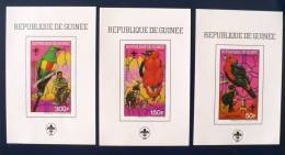 GUINEE Oiseaux, Birds, Aves, Scoutisme. Yvert 867+PA 231/32 BLOCS DE LUXE NON DENTELES (IMPERF)* * MNH - Otros & Sin Clasificación