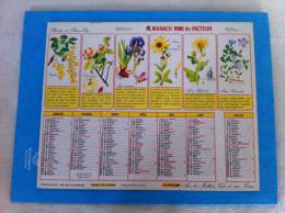 Calendrier Grand Format PLANTES ET BIEN ETRE - Groot Formaat: 1981-90