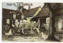 TOUTE LA FAMILLE. - Farms