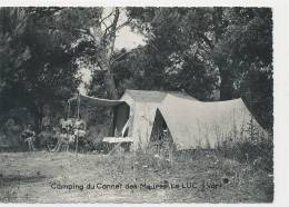 83 // LE LUC    Camping Du Cannet Des Maures   CPSM   ANIMEE - Le Luc