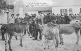 85 CHALLANS LE CHAMP DE FOIRE AUX BOURRINS - Challans