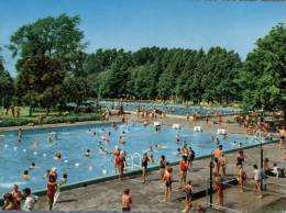 (200) Netherlands - Swimming Pool - Doetinchem - Natation