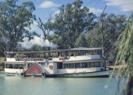 (164) Australia - South Australia - Muury River Paddle Boats - Sonstige & Ohne Zuordnung