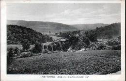 HATTINGEN - BLICK INS BREDENSCHEIDER TAL - Hattingen