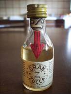Gran Zucca Liquore Finissimo: Bottiglia Mignon Tappo Metallo. Rabarzucca Spa Milano - Spirituosen