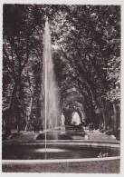 SCEAUX - LE CHATEAU - LE  PARC - ALLEE DE DUCHESSE - Sceaux