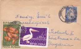 MUSHROOMS,PELICANS,LILLIPUT COVER,1959,STATIONERY, ENTIER POSTAL, SENT TO MAIL, ROMANIA. - Pellicani