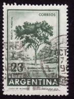 ARGENTINE 1965  -  YT  707   --  Quebracho  -  Oblitéré - Used Stamps