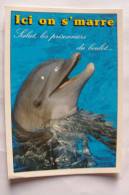 Dauphin - Ici On S'marre - Salut Les Prisonniers Du Boulot - Dolphins