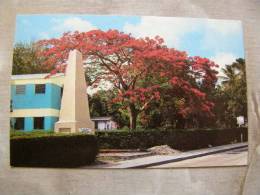 Holetown St.James   - Barbados - W.I.  West Indies  D77793 - Barbados