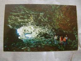 Animal Flower Caves - Barbados - W.I.  West Indies  D77795 - Barbados (Barbuda)