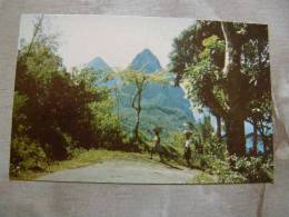 Twin Pitons - St. Lucia  -  West Indies - W.I.  D77828 - Santa Lucia