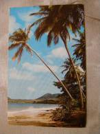 Vigie Beach  -  St. Lucia  -  West Indies - W.I.  D77832 - Sainte-Lucie