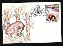 BEAR, OURS 1993, STAMPS ON COVER,RARE CACHET SUCEAVA, ROMANIA - Ours