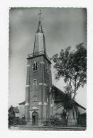 GUINES - L'Eglise Saint Pierre ès Liens - Guines