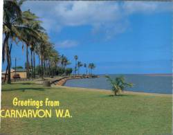 116) Australia - WA - Carnarvon - Other & Unclassified