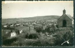 Arudy - Vue Général Depuis Le Mont Saint- Michel ( Traces D'humidité Sur Un Bord Visible Au Dos )    - IA15 - Arudy