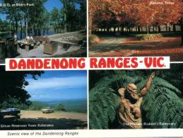 116) Australia - VIC - Dandenong Ranges - Other & Unclassified